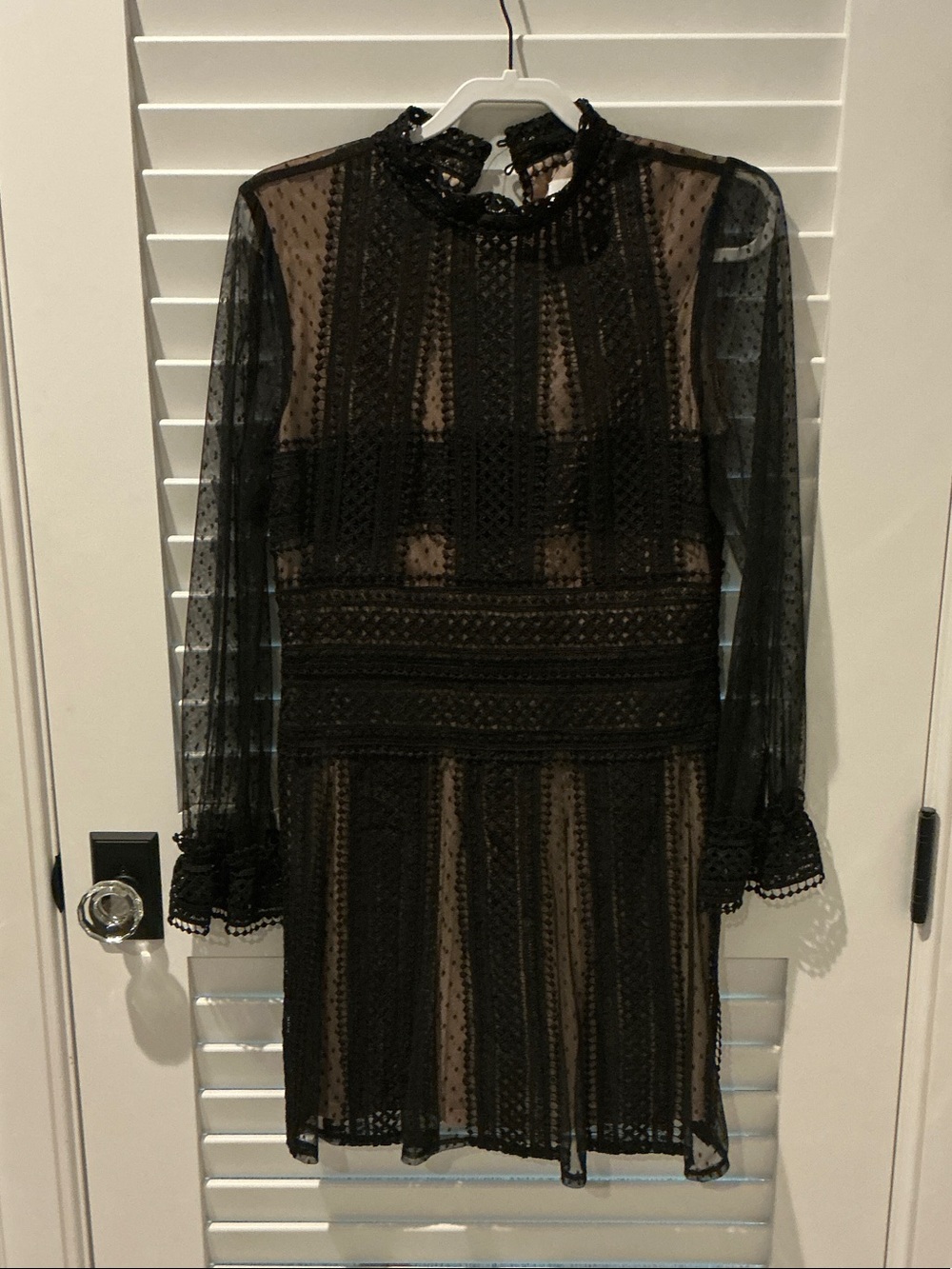 Sheer Black Lace Long-Sleeve Mini Dress